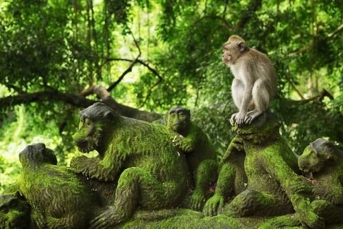 D2-Ubud-Bali