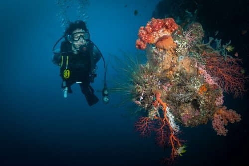 Diving-off-Tulamben-Bali