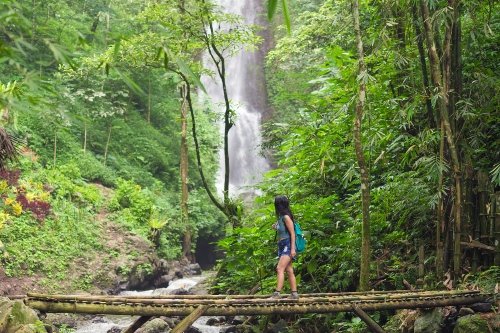 Forest-walk-in-Munduk-Bali