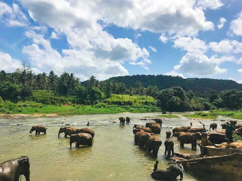 Srilanka